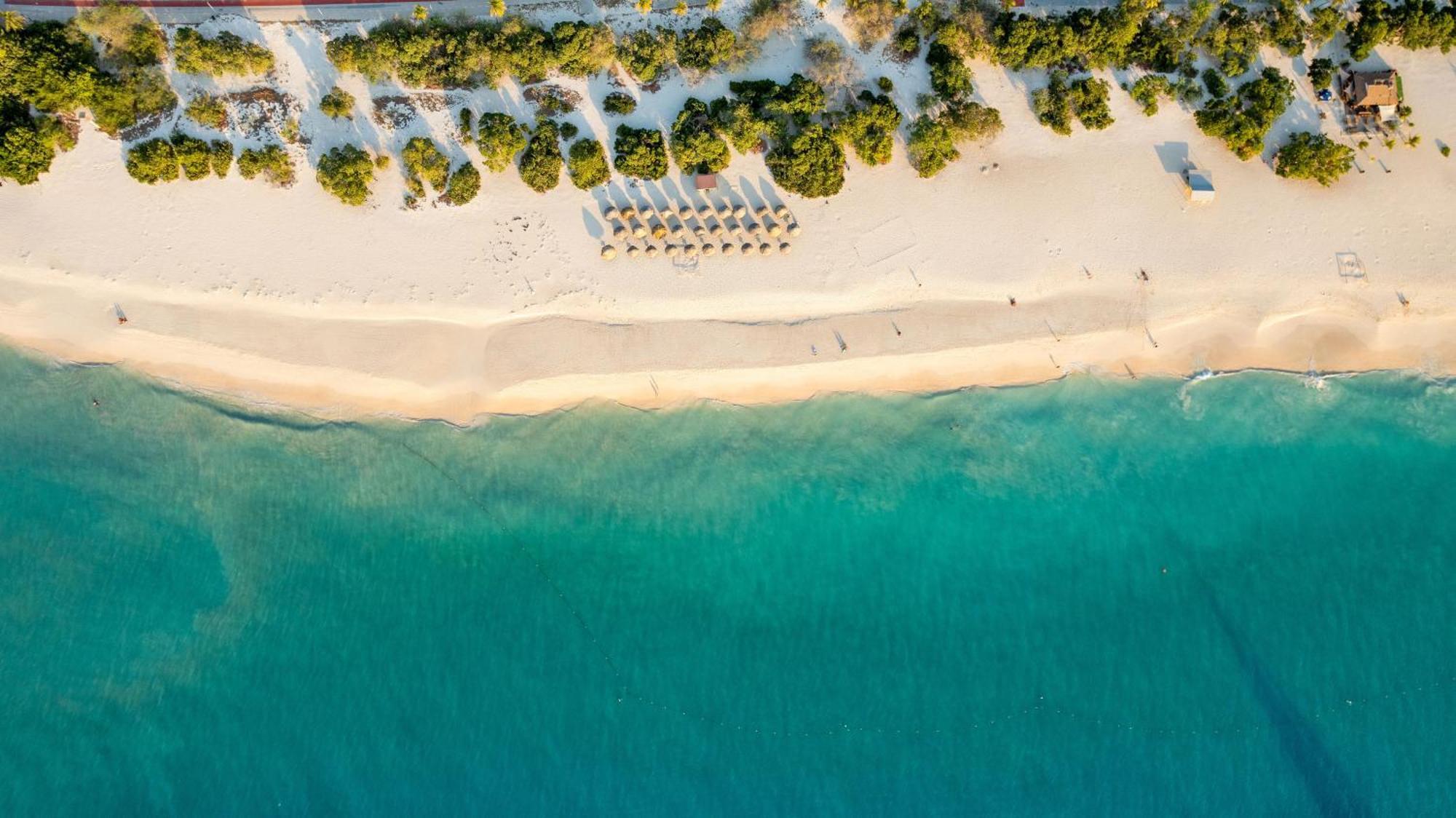 O Condominium Beachfront Residences, By Bocobay Aruba Palm Beach Exterior photo